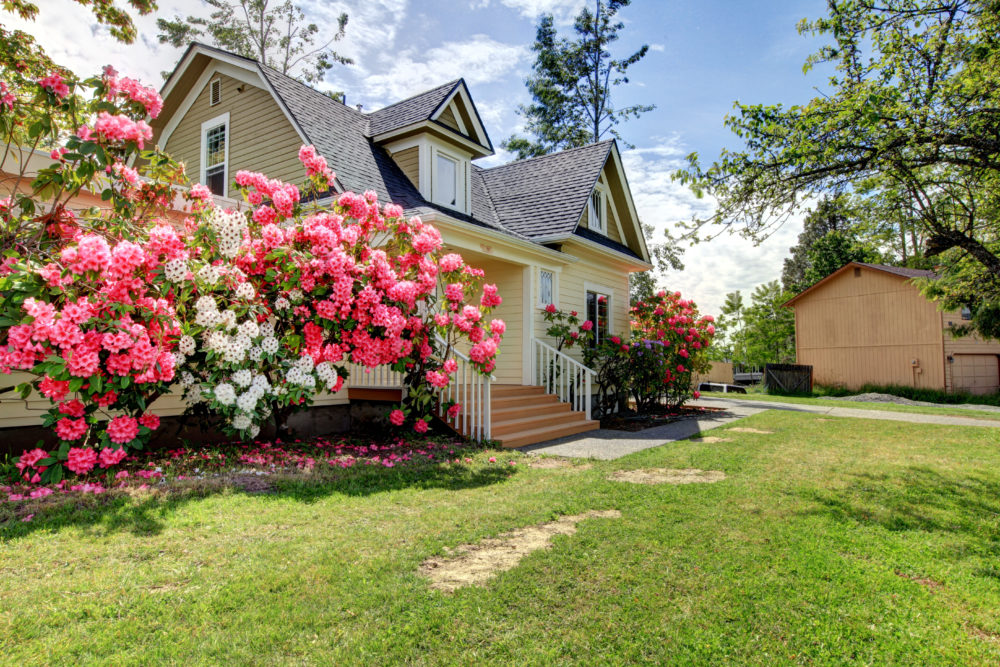 Canada Home Seller Services