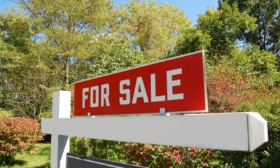 Home buyer broker Consultant